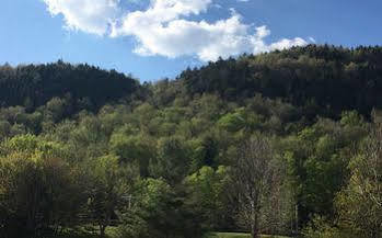 Hotel Great Pines 4*